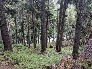 Descending to middle lake