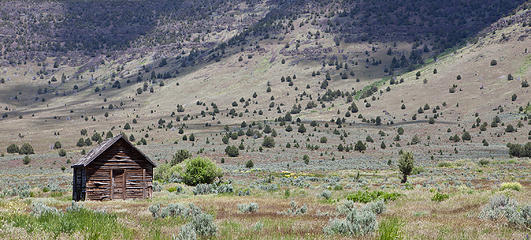 Steens country