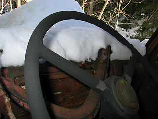 Steering Wheel View