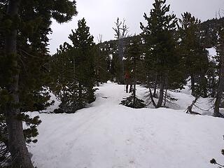 Snow at 6,400'