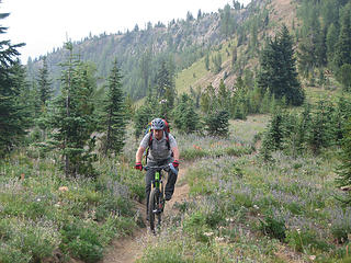 Tom on the easier part of the biking