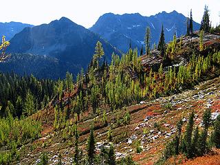 Meadows, Twisp & Hock