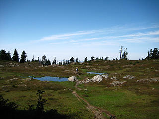 Goat Flat tarns