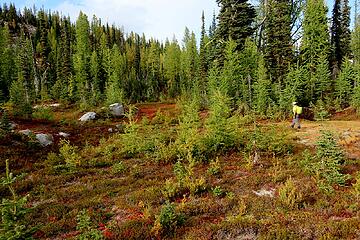 Hiking through a meadow west of Point 6170