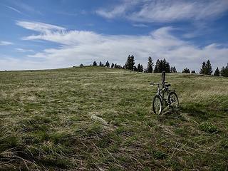 I took the short bike ride up to Wapshilla Ridge highpoint, 4900.' It was late so I decided to lallygag in this area for a couple of hours and ride further out in the morning for the other high points.