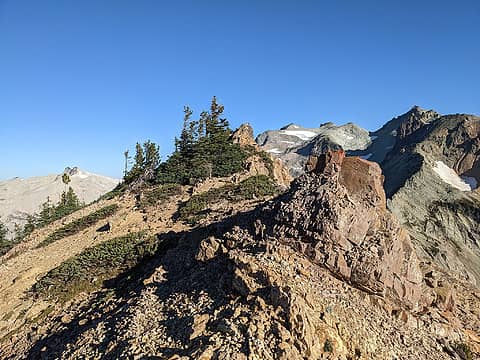 Daniel and the treed high point north of Citadel Pass