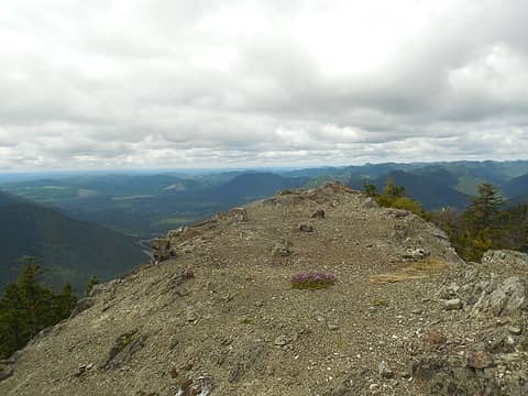 Site of the Anderson Butte Lookout, Wynoochee area, 26 May 2018
