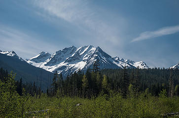 Looking at Liberty Cap/Buck Creek Pass from the flood plain near the confluence of Dusty Creek and Suiattle River.