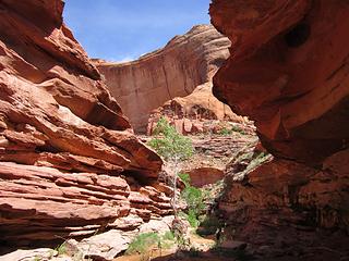 Narrowing through Kayenta