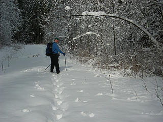 Breaking trail