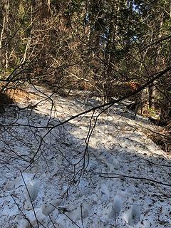 Upper Twin Lakes Trail 5/3/19