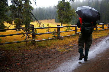 A hiker walks by Haney Meadow