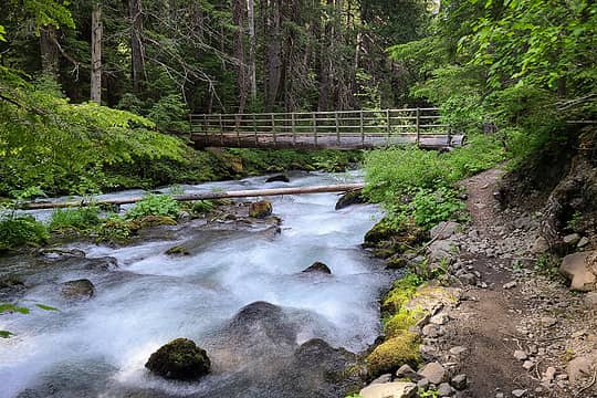 Dungeness River, second bridge