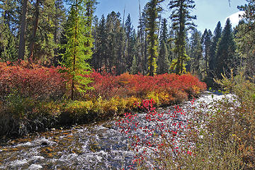 Tumalo creek. 
Shevlin park, Bend OR, 10/11/16