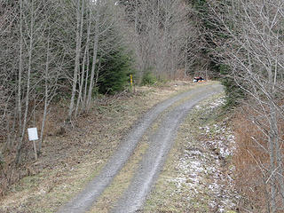 Saw a bear here 2 1/2 years ago at junction to East Tiger final piece. A dog up there on the other spur.