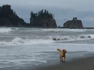 Miles and miles of water and sticks!