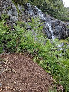 Anthill with waterfall beyond