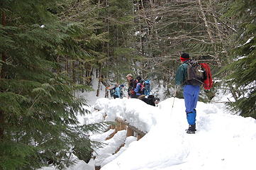 Bridge across Humpback Creek