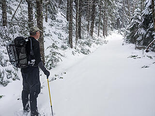 There was about 3" of fresh snow on the Ira Spring trail where we joined it