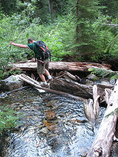 B-Dog's amazing creek double-cross.