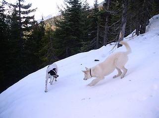 On Arrowhead Mountain