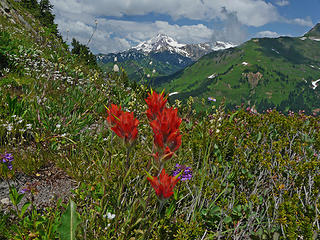 Another take on paintbrush and Glacier Peak from Kodak Peak