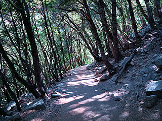 The Mist trail