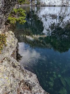 Melting snow drop ripples