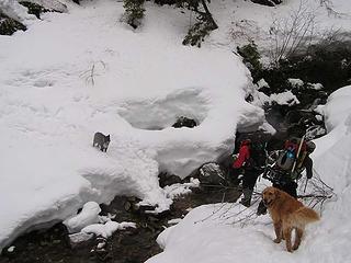 Creek crossing