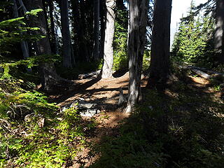 a campsite maybe a mile downtrail from the basin