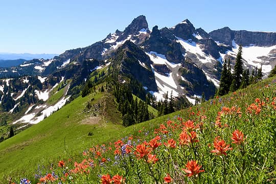 July: Cowlitz Chimneys from Tamanos Mountain  Jon Newmark