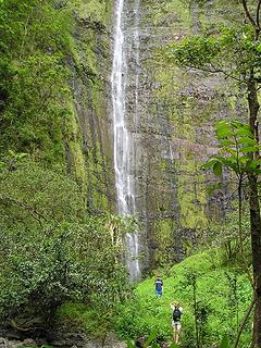 Waimoku Falls