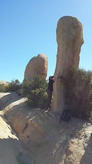 Phallic rock hugger