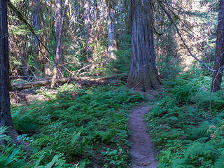 Early section of trail