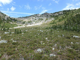 Further up meadow gully...