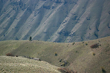 Swakane Cyn slope and gullies