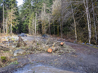 Downed trees from the storm just past the Taylor River bridge
