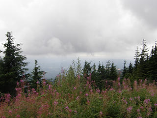 East Tiger summit.