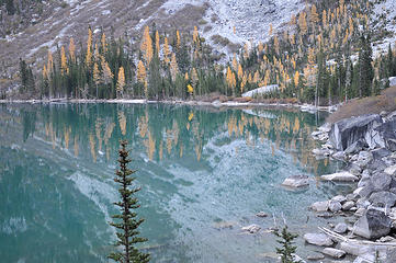 Larches along the Colchuck Lake shore