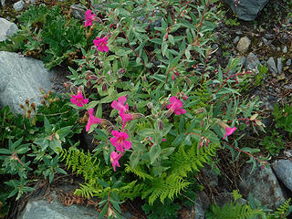 Splash of color in the lunar landscape