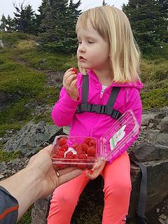 Raspberries at the summit