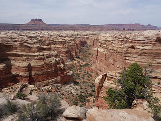 On top near Chimney Rock