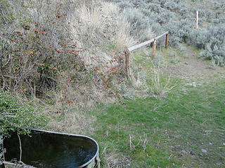 Twin springs horse drinking area.