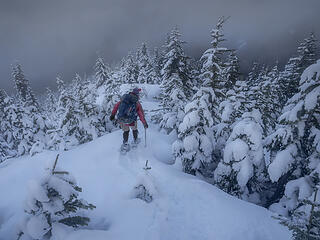 Back down the NE ridge . . .