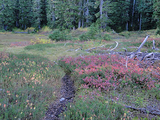 Fall in the meadow before first lake.