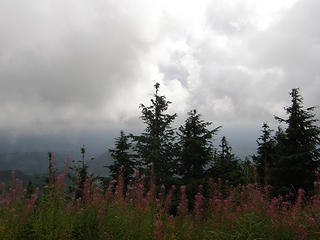 East Tiger summit.