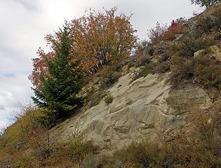 Fall color on the slope.