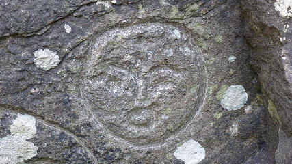 Ozette loop 291