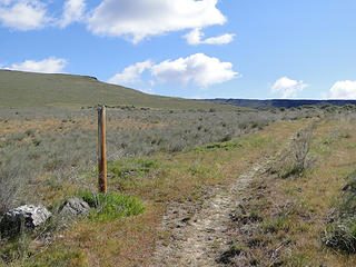 One of many trail marker poles on Yakima Skyline trail.