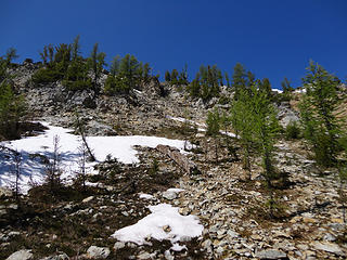 Looking back at access gully